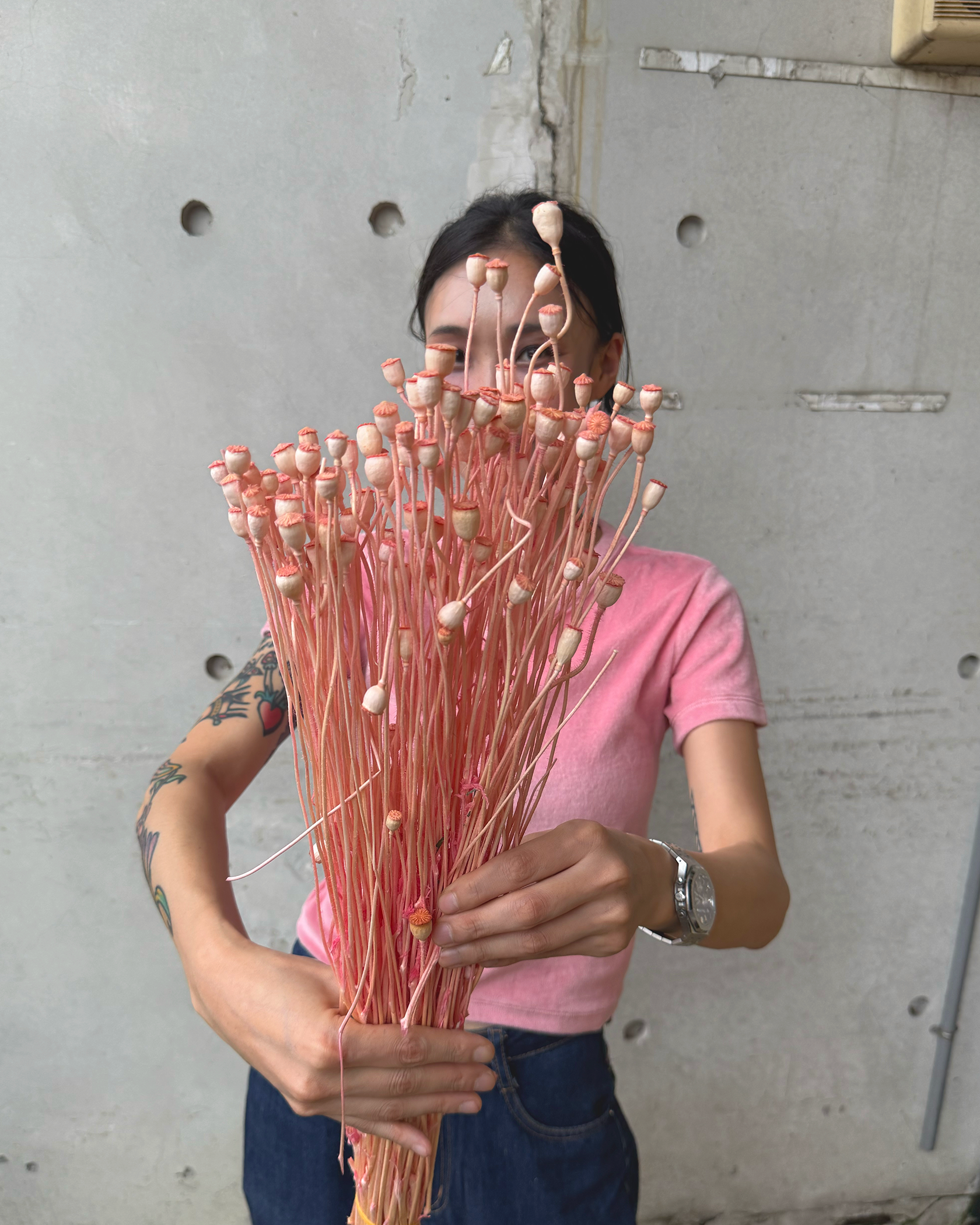 永生雪莉罌粟花