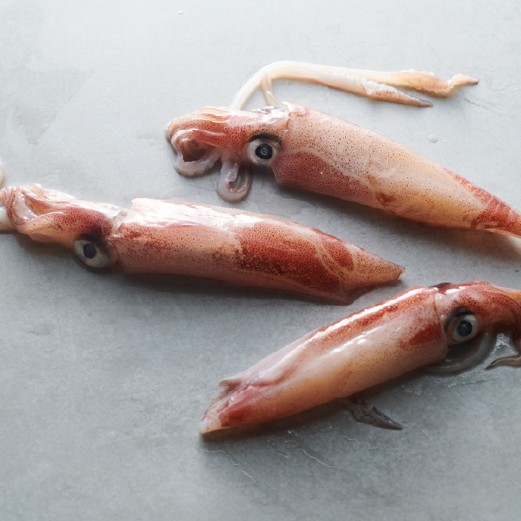 優質海鮮-東海岸特級現撈小卷 300-360g