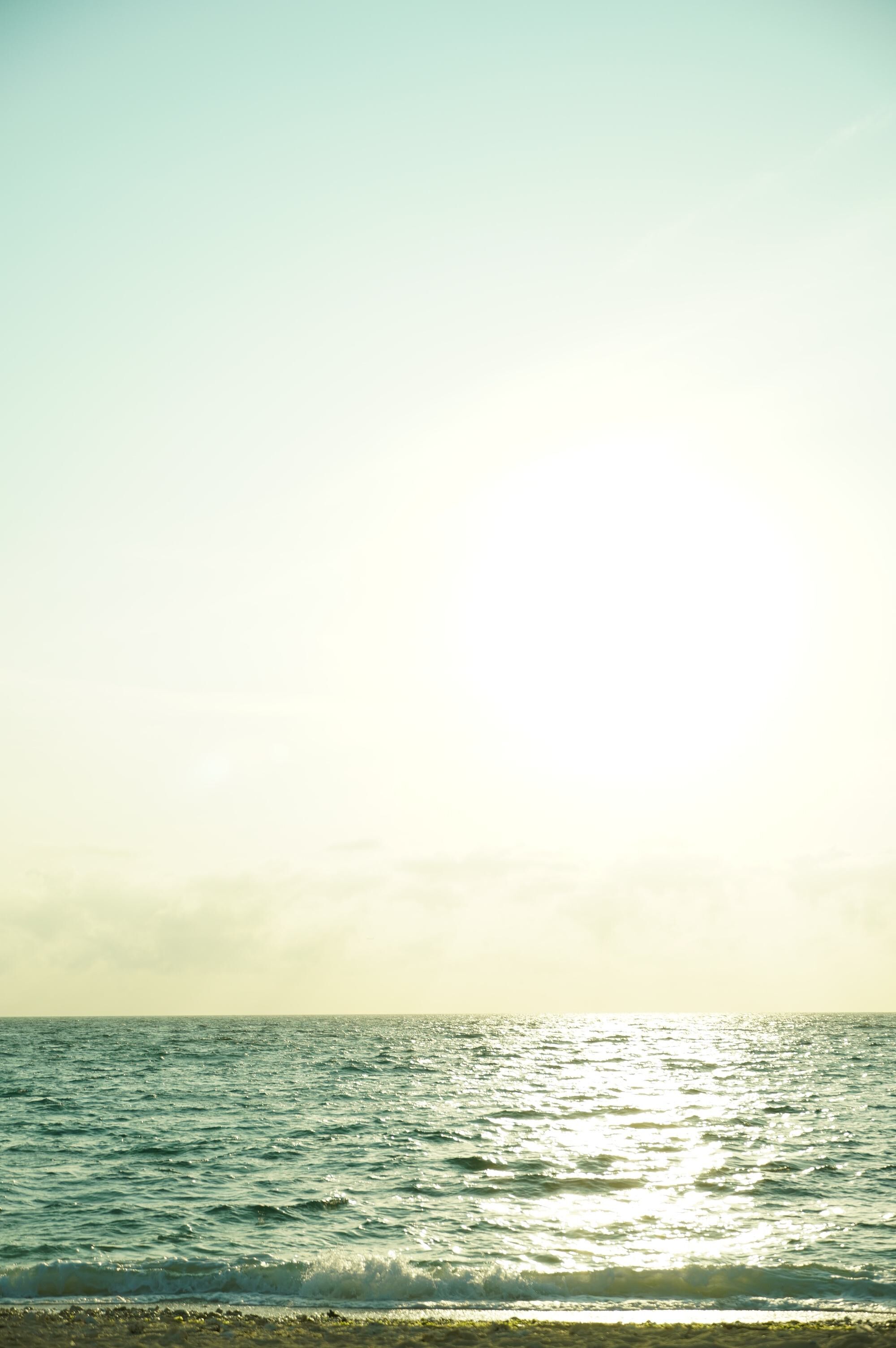 Rosemary 珊瑚耳環