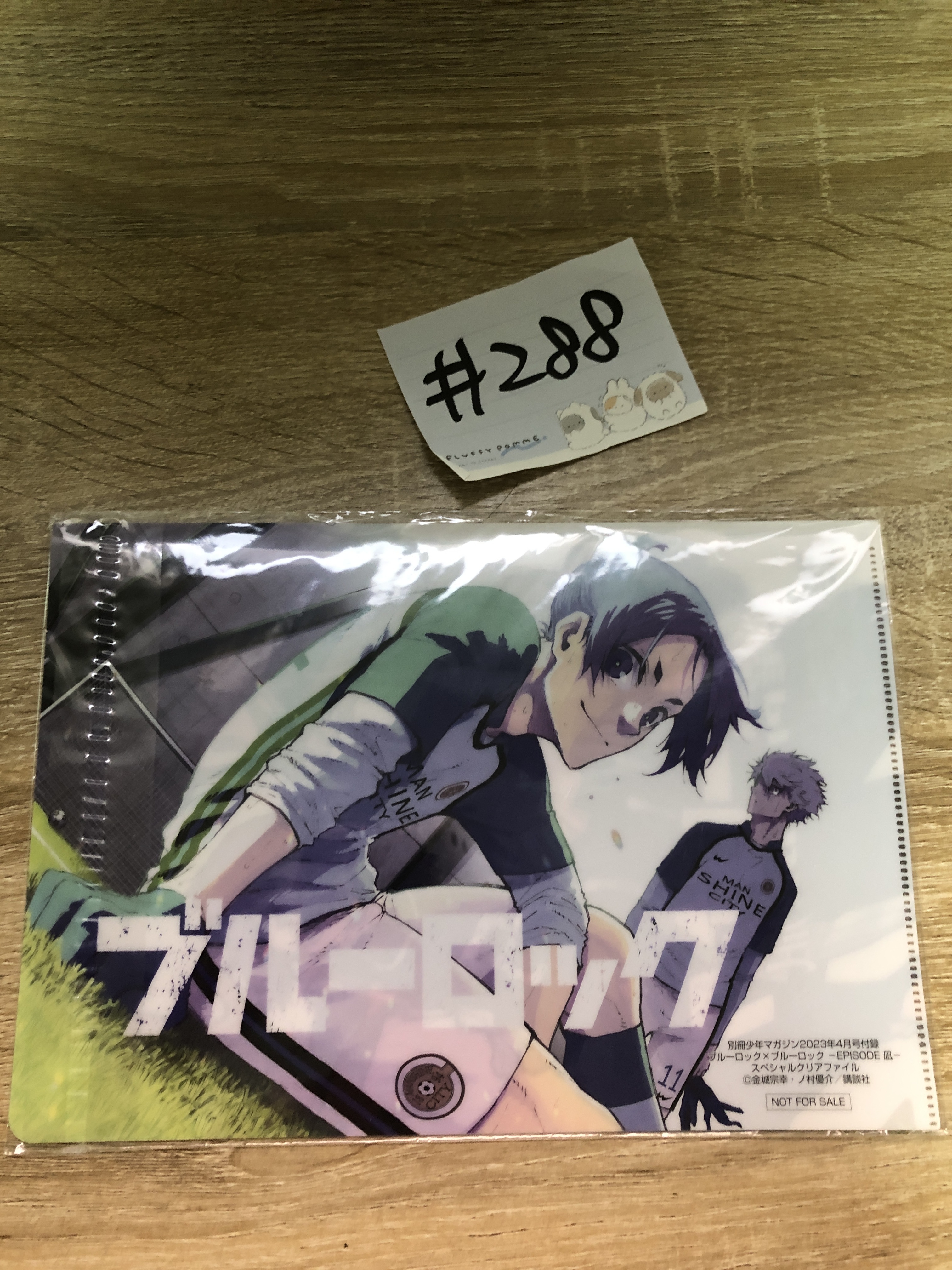 BlueLock  MINI FILE#288