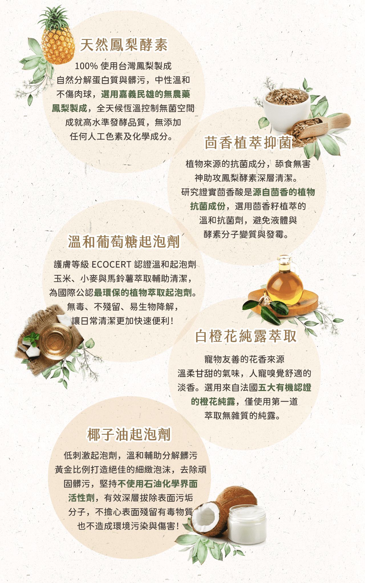 LOUIS 路易貓砂｜貓砂盆清潔慕斯 鳳梨酵素 350ml