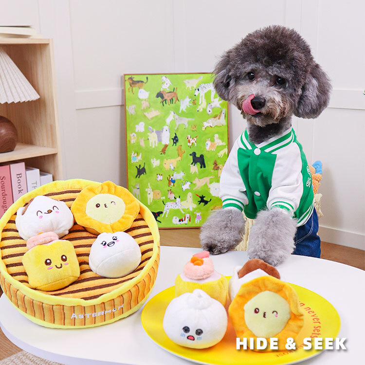 Fun Snack Platter - Dog Birthday Gift, Squeaky and Crinkly Paper Interactive Plush Toy That Enriches Sniffing Experiences