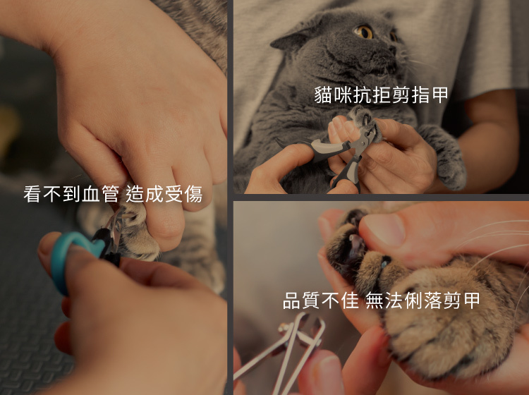 寵物剪甲流血抗拒找不到血管