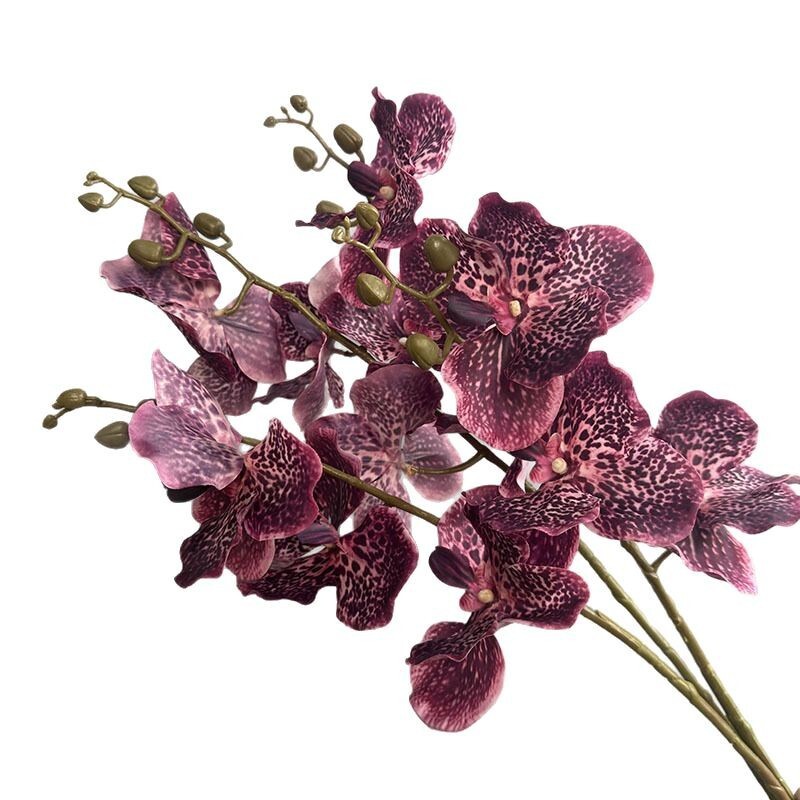 仿真手感保濕萬代蘭