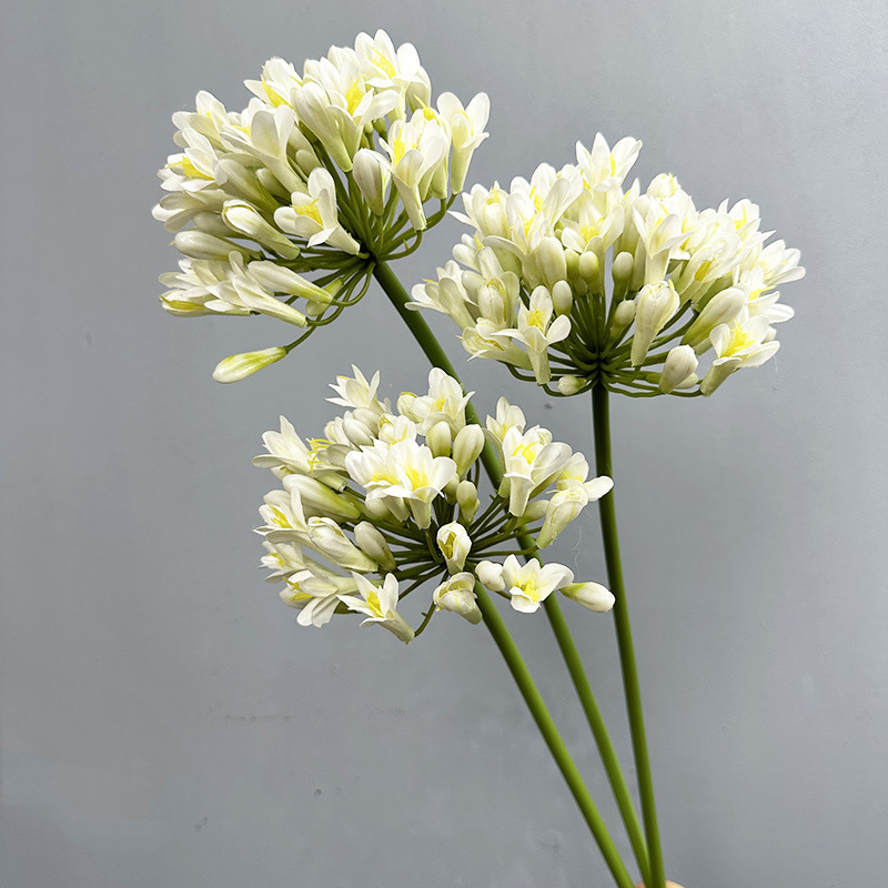 仿真百子蓮(愛情花、韭蔥花)