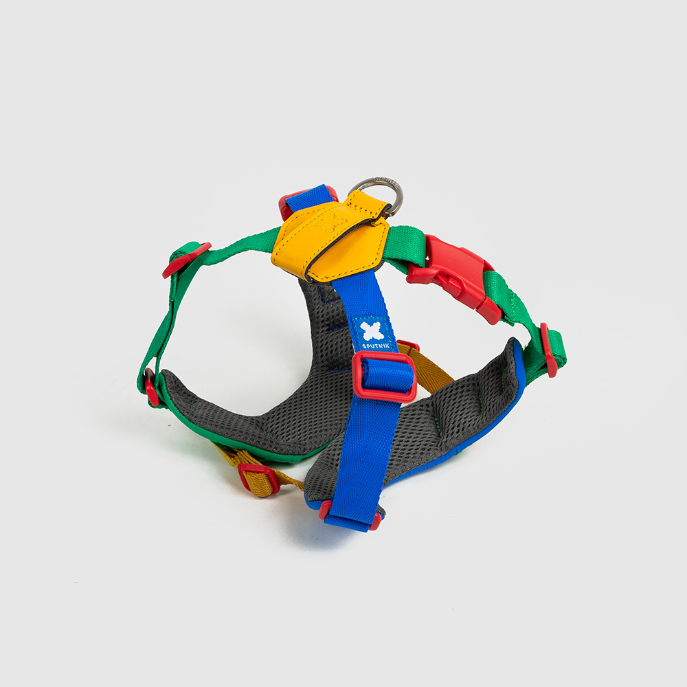 10TH YEAR︱胸背帶 - 拼色