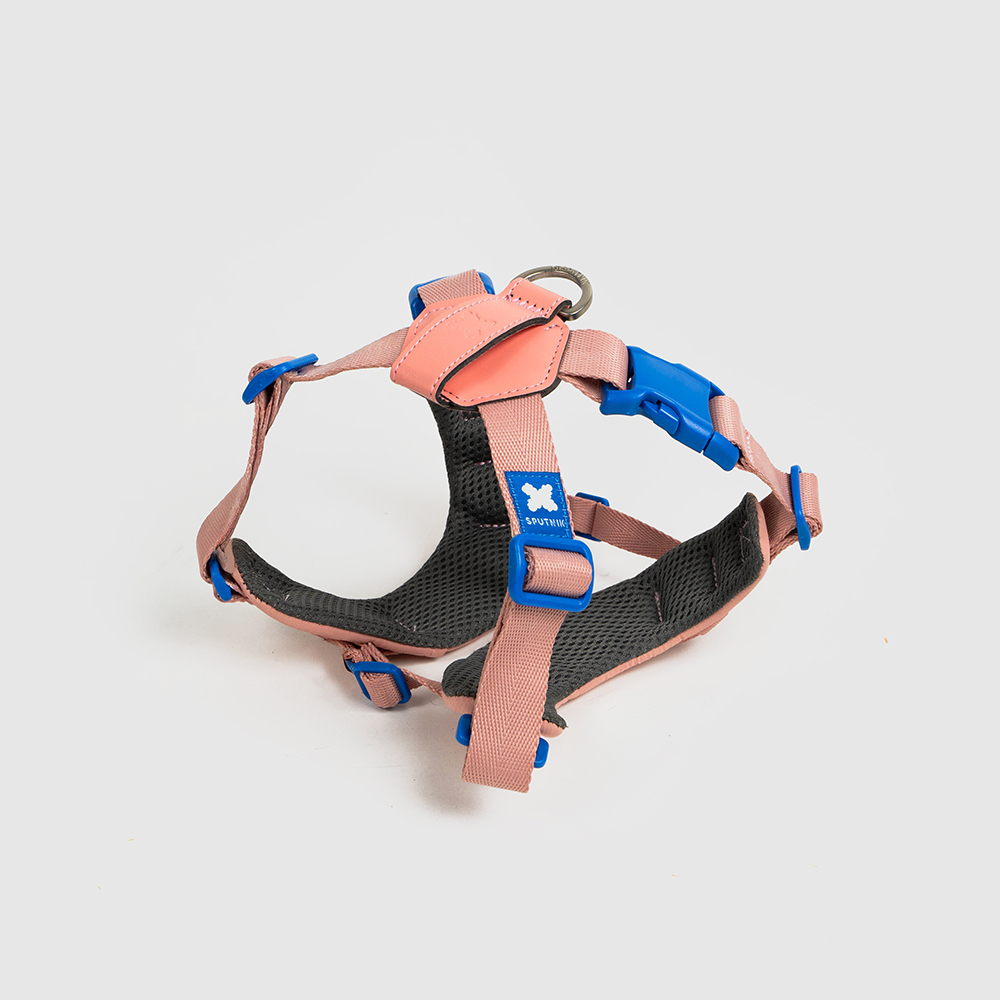 10TH YEAR︱胸背帶 - 粉色