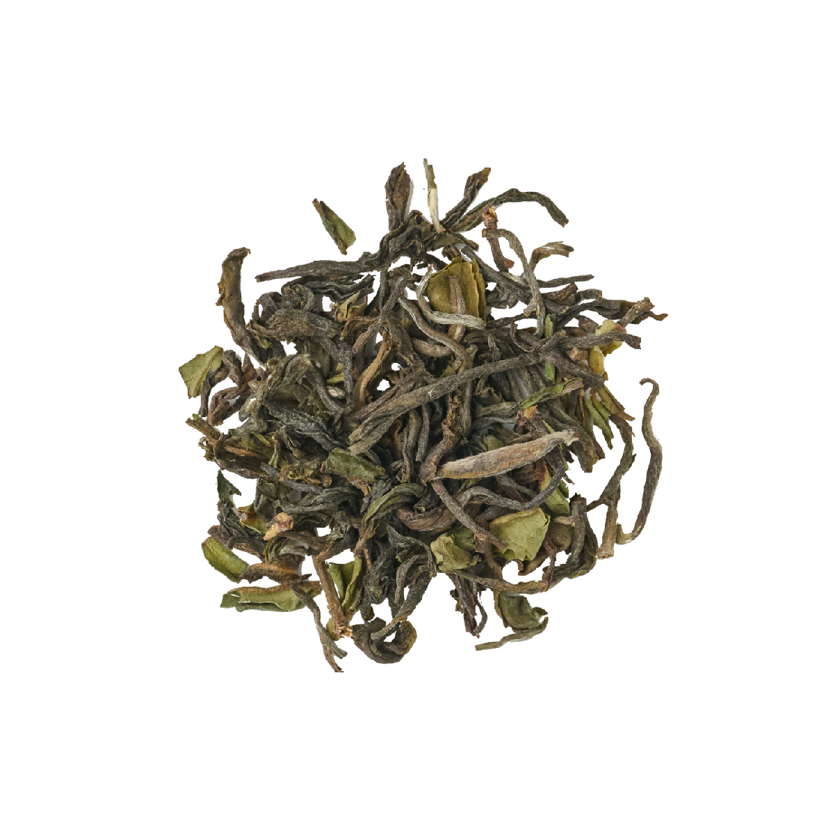 大吉嶺初摘茶｜Darjeeling First Flush｜精品立體茶包盒  (10包入-附提袋)