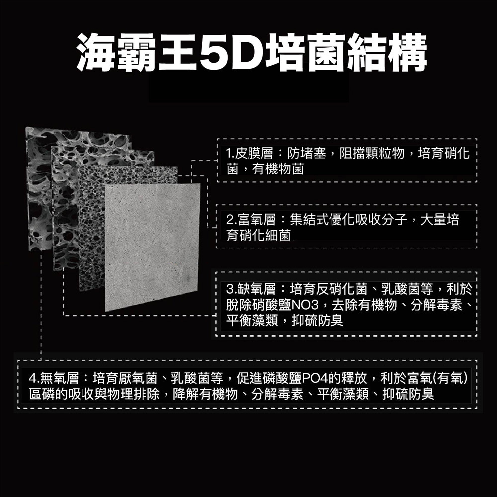 獨家結構設計，外層皮膜隔離雜質，中層富氧促進硝化菌繁殖，內層缺氧環境助力反硝化菌生長