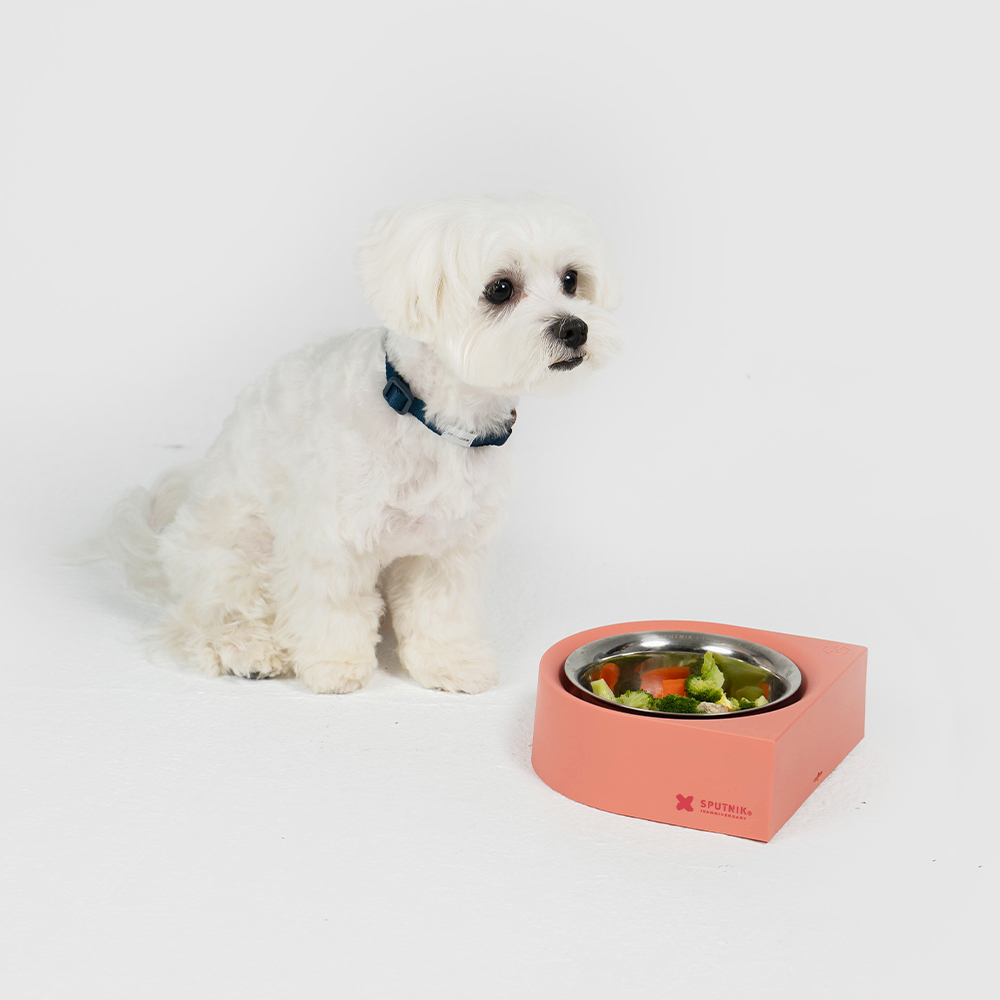 10TH YEAR︱寵物防蟻碗 - 粉色