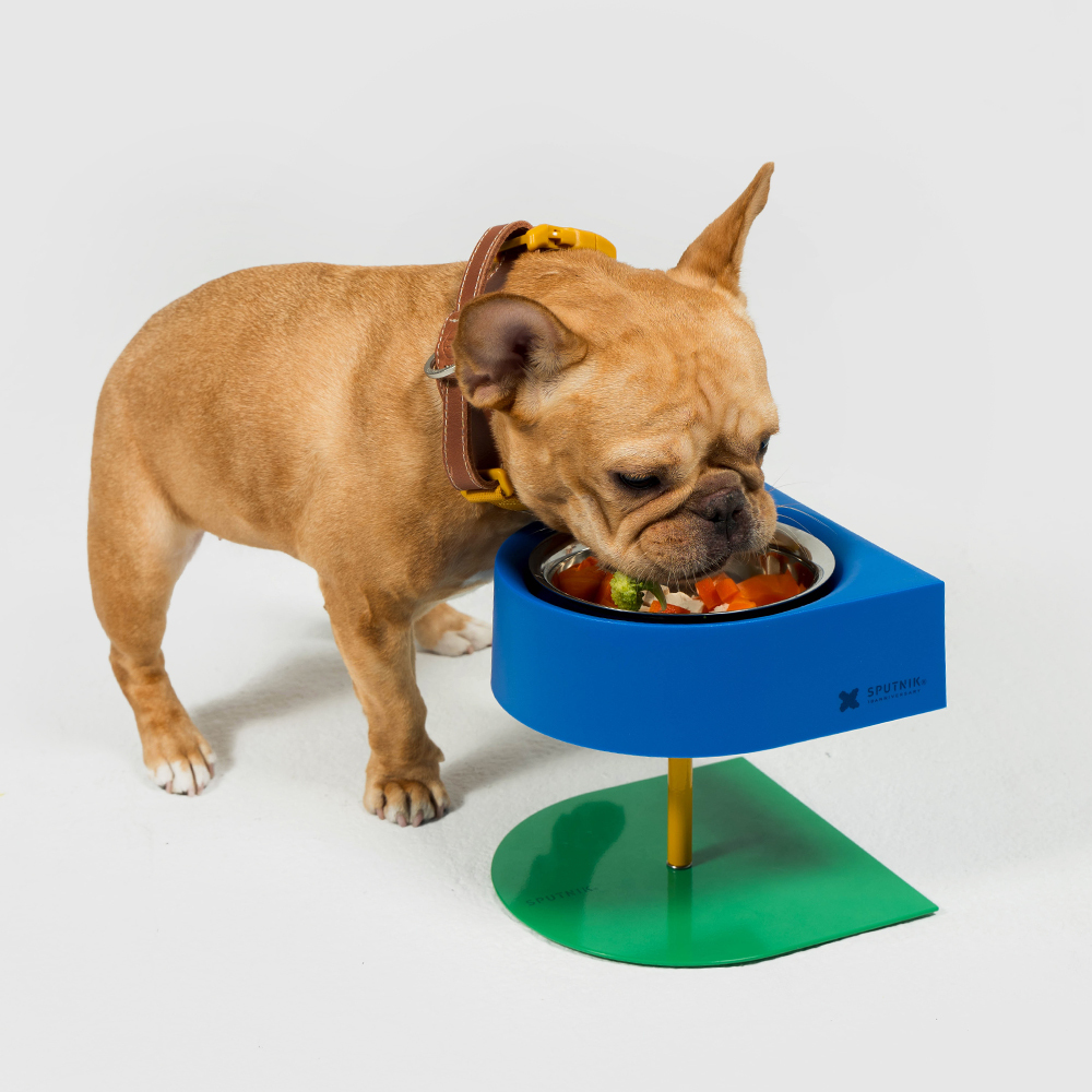 10TH YEAR︱增高防蟻碗 - 藍色