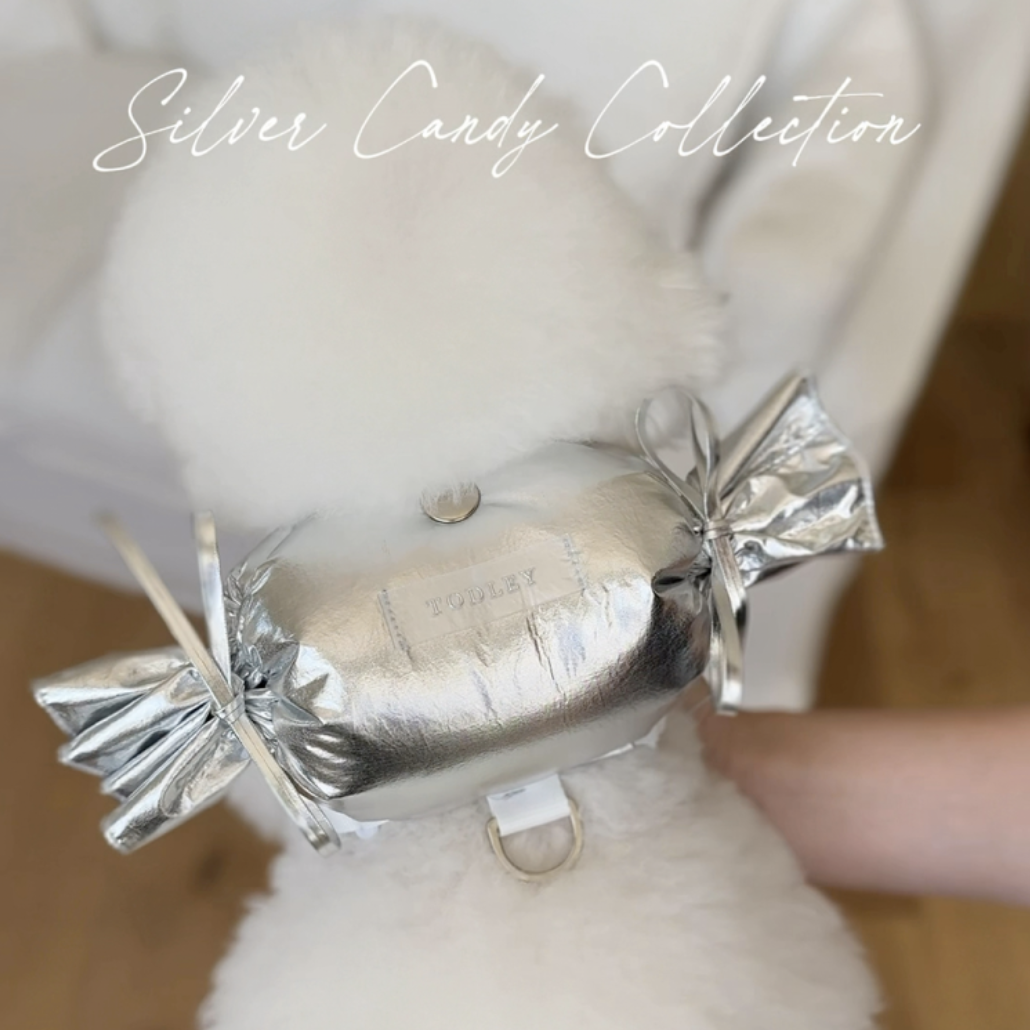 太空銀糖果背包