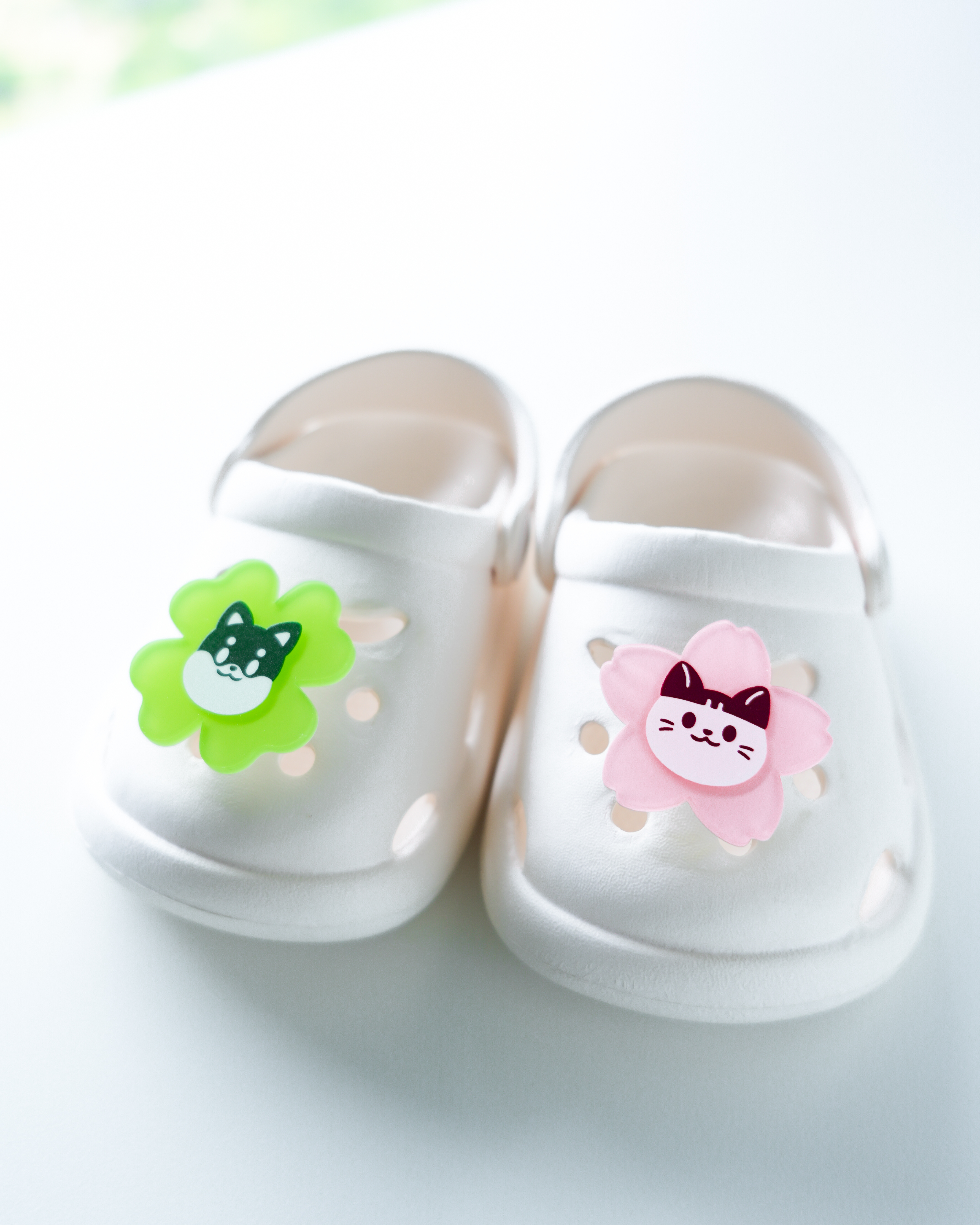 洞洞鞋扣 - 轉轉款