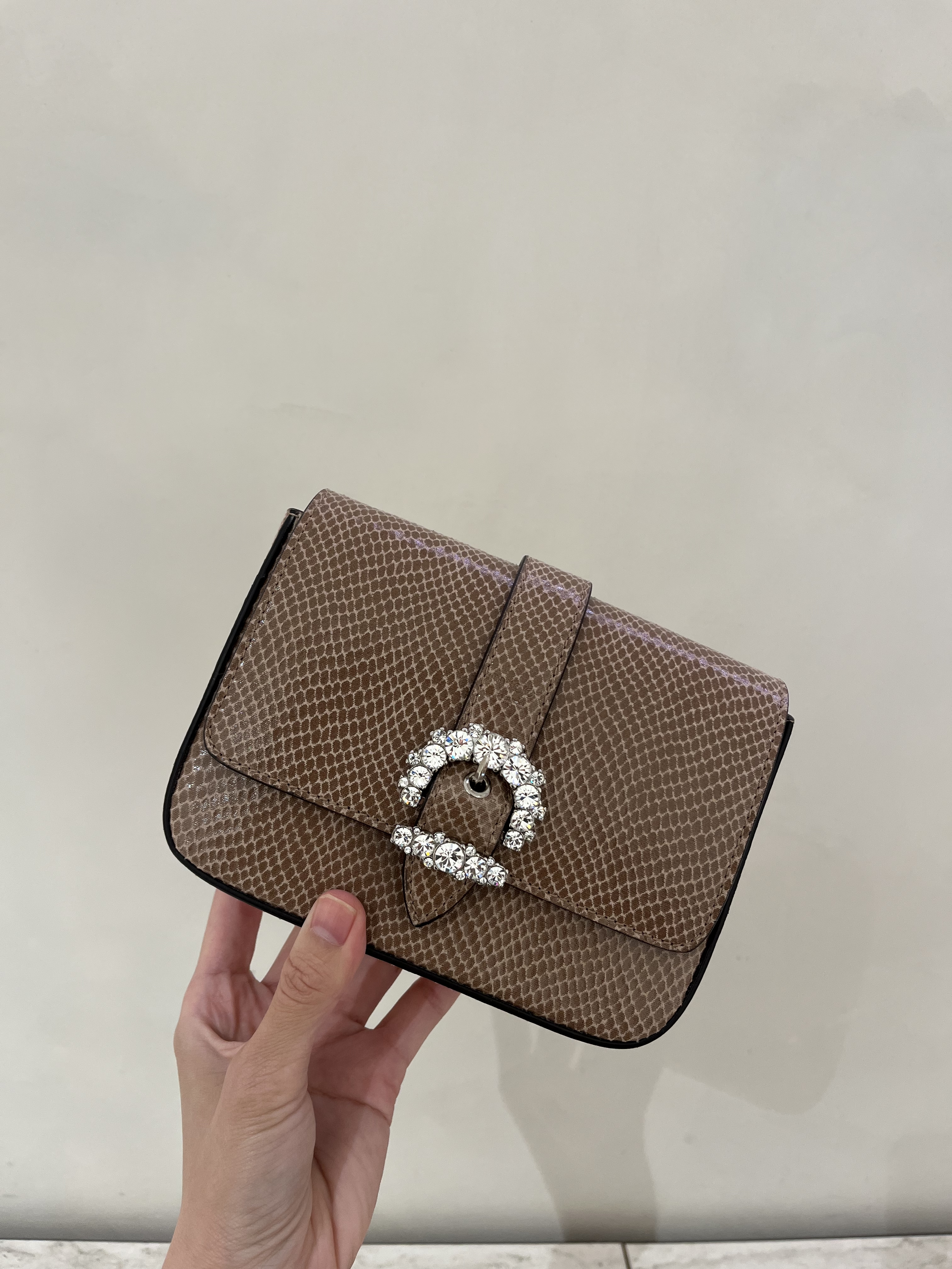 Jimmychoo Cheri Lizard Printed Bag Powder