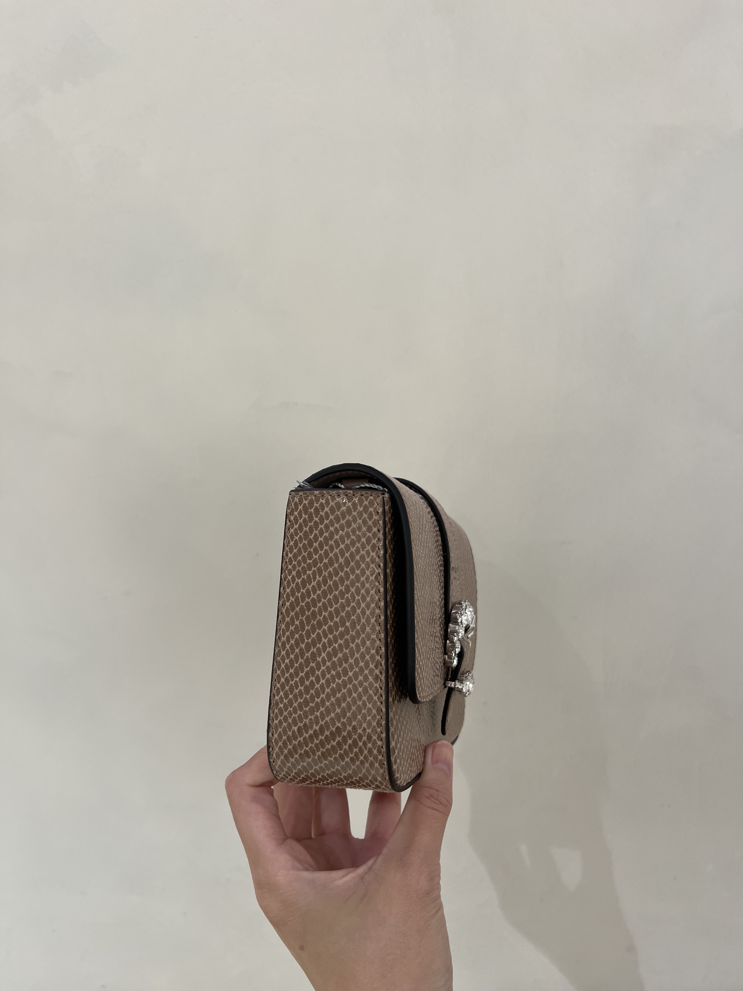 Jimmychoo Cheri Lizard Printed Bag Powder