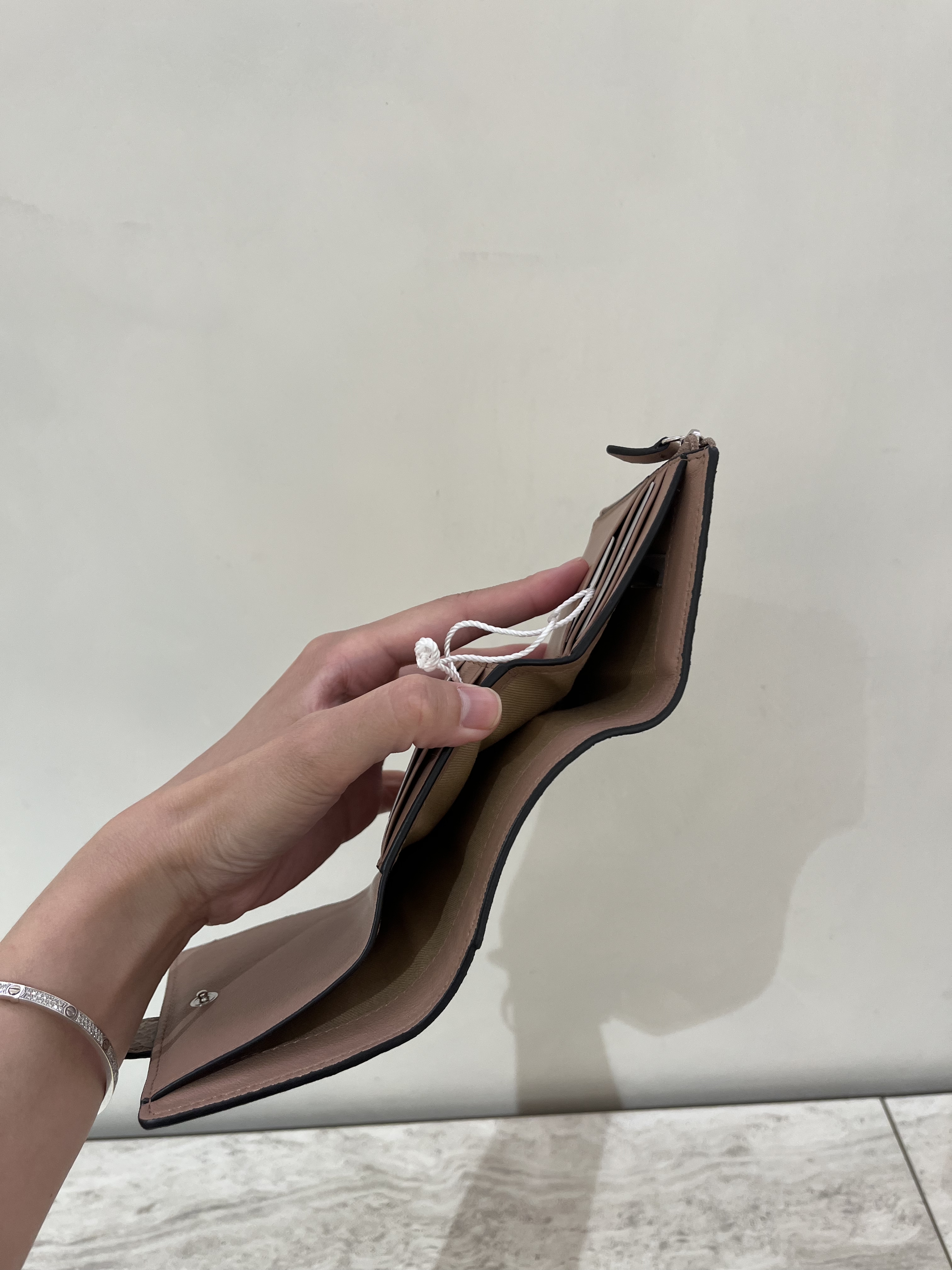 Jimmychoo Lizard Printed Cheri Wallet powder