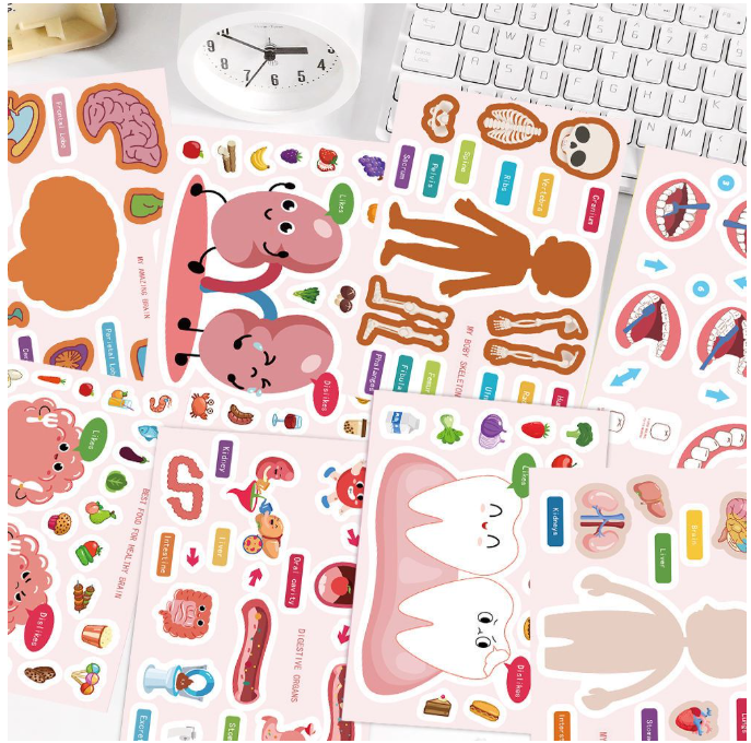 人体器官换装贴纸（8张）