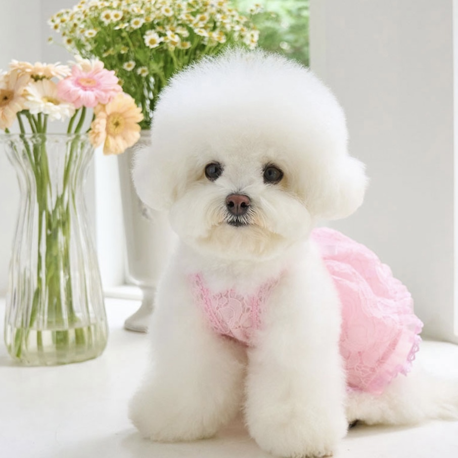 Blooming閃耀浪漫蕾絲洋裝 Pink 粉- It’s sunny outside