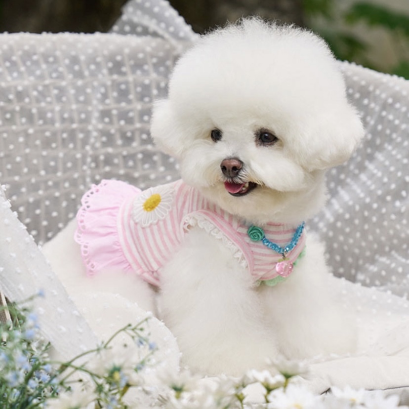 Daisy雛菊條紋粉洋裝連身裙- 粉Pink- It’s sunny outside