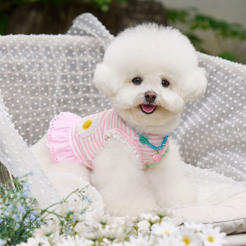 Daisy雛菊條紋粉洋裝連身裙- 粉Pink- It’s sunny outside