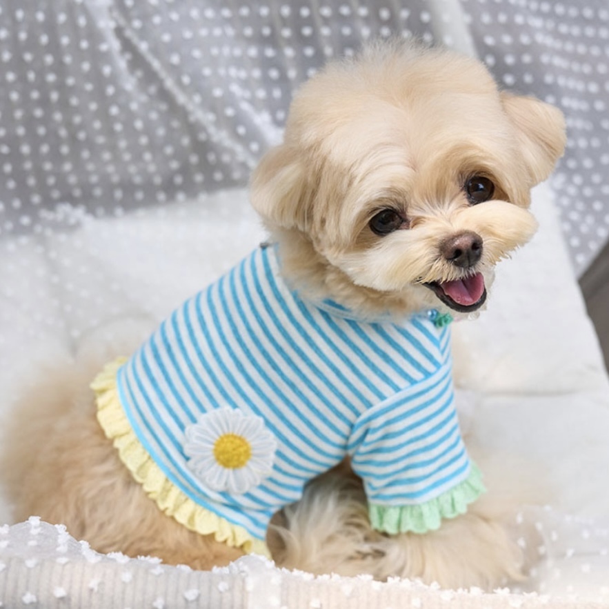 Daisy 雛菊條紋蕾絲袖 T-shirt｜AquaBlue水藍- It’s sunny outside