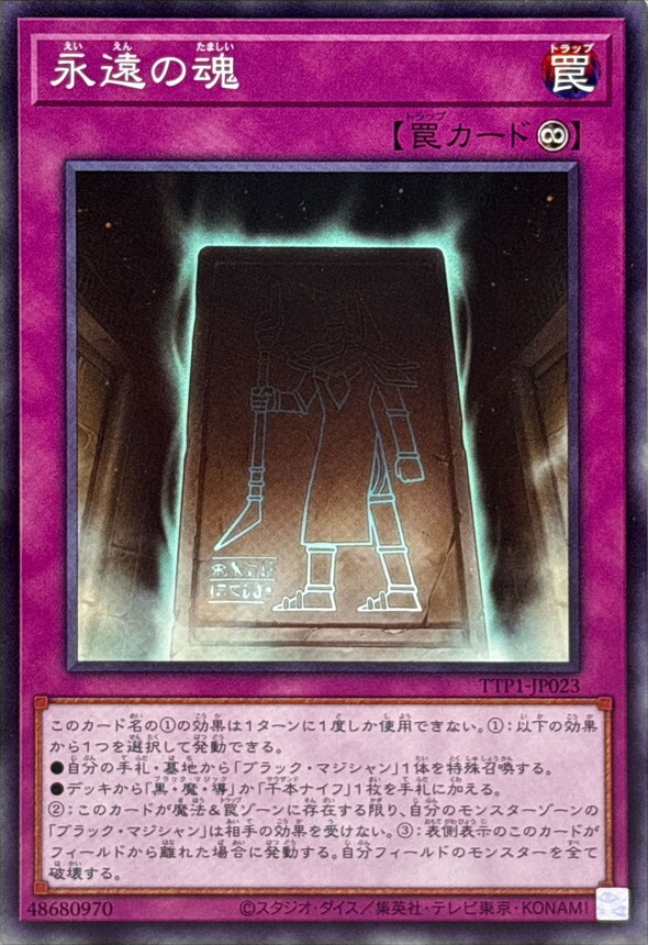 TTP1-JP023 永遠の魂