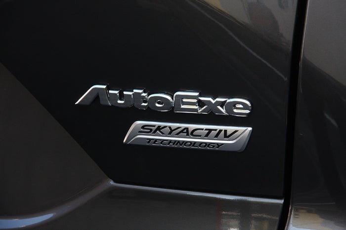 AUTOEXE 立體標誌 金屬銀標誌