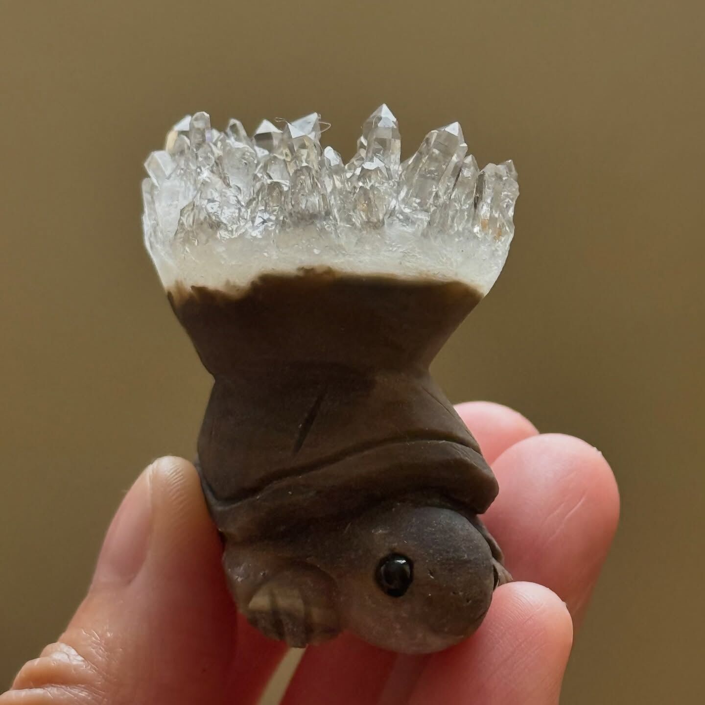 [原石] 白水晶簇 烏龜