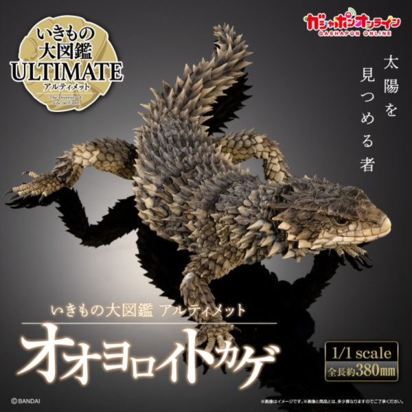 [魂SHOP限定GOL] 生物大圖鑑 巨型環尾蜥 [GOL]THE DIVERSITY OF LIFE ON EARTH  ULTIMATE SMAUG GIGANTEUS