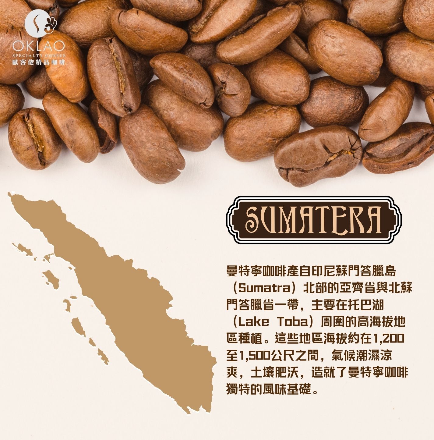 曼特寧 曼特寧咖啡 咖啡豆 曼特寧咖啡的產地 蘇門答臘曼特寧 歐客佬咖啡 精品咖啡 濃縮咖啡 掛耳咖啡 咖啡禮盒