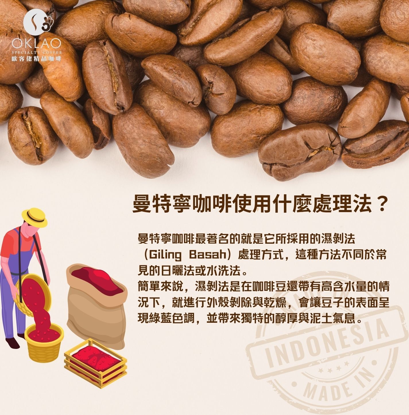 曼特寧 曼特寧咖啡 咖啡豆 曼特寧咖啡的產地 蘇門答臘曼特寧 歐客佬咖啡 精品咖啡 濃縮咖啡 掛耳咖啡 咖啡禮盒