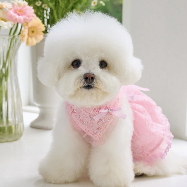 配件-Twinkle閃耀浪漫頭巾領巾 粉Pink -its_sunnyoutside