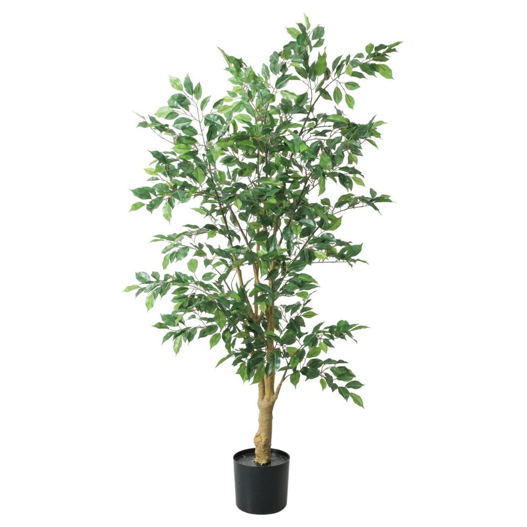 擬真樹 本傑明榕樹 160cm