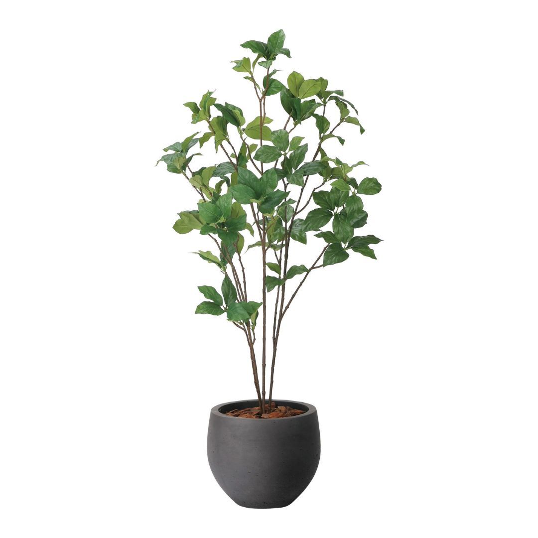 V-CAT擬真樹系列-吊鐘樹 90cm