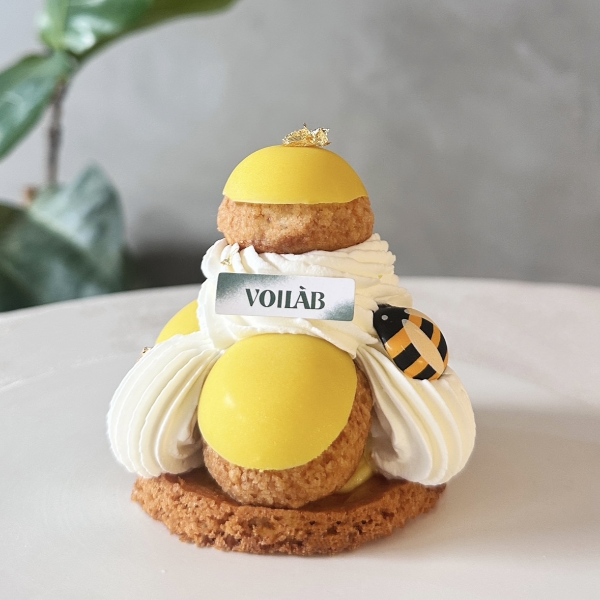 微旅版🏝️白日夢島聖多諾黑