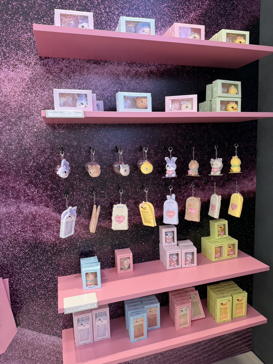 <快速出貨> BLACKPINK DEADLINE 周邊 PART.3