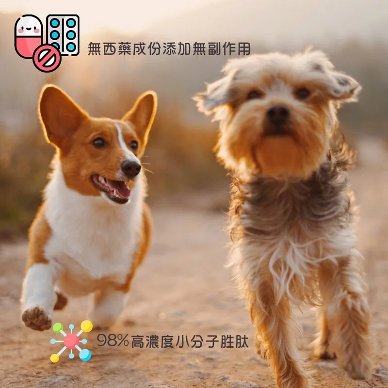 胜肽膠原蛋白-益生酵素 100g