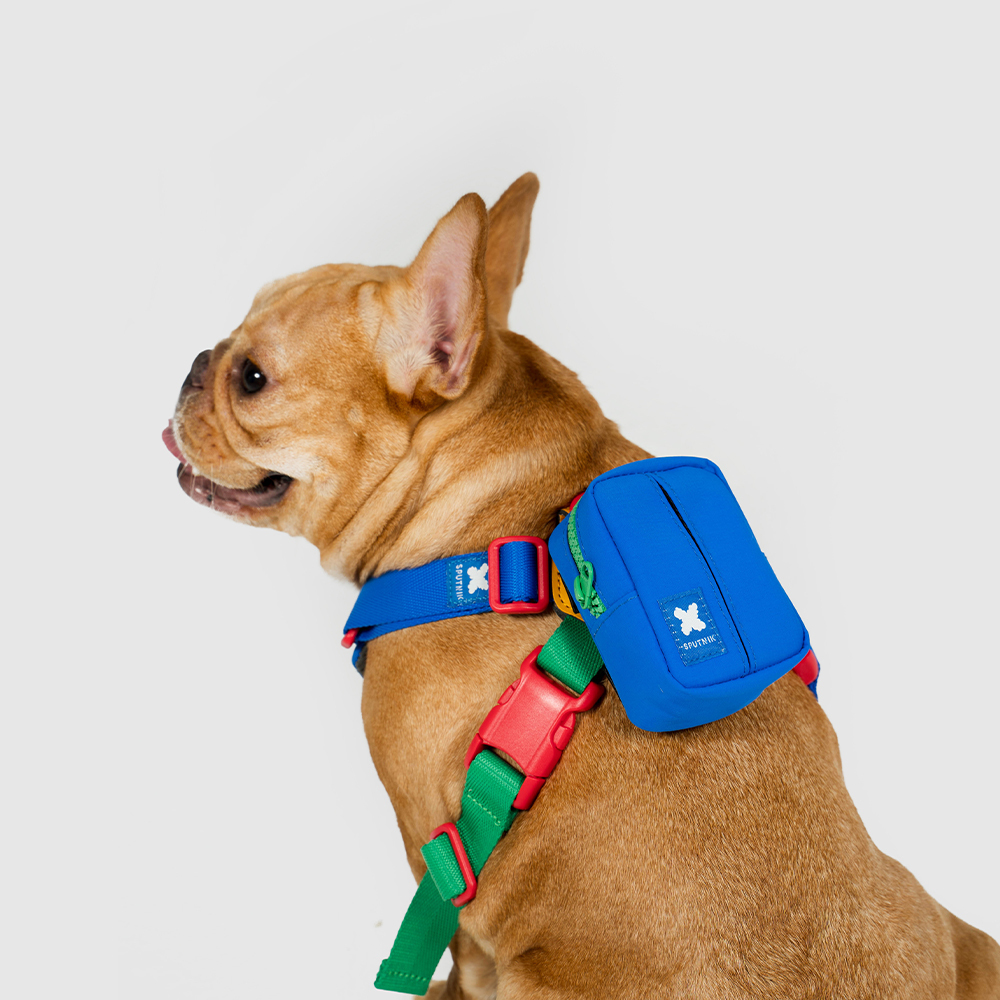 10TH YEAR︱拾便小包 - 藍色