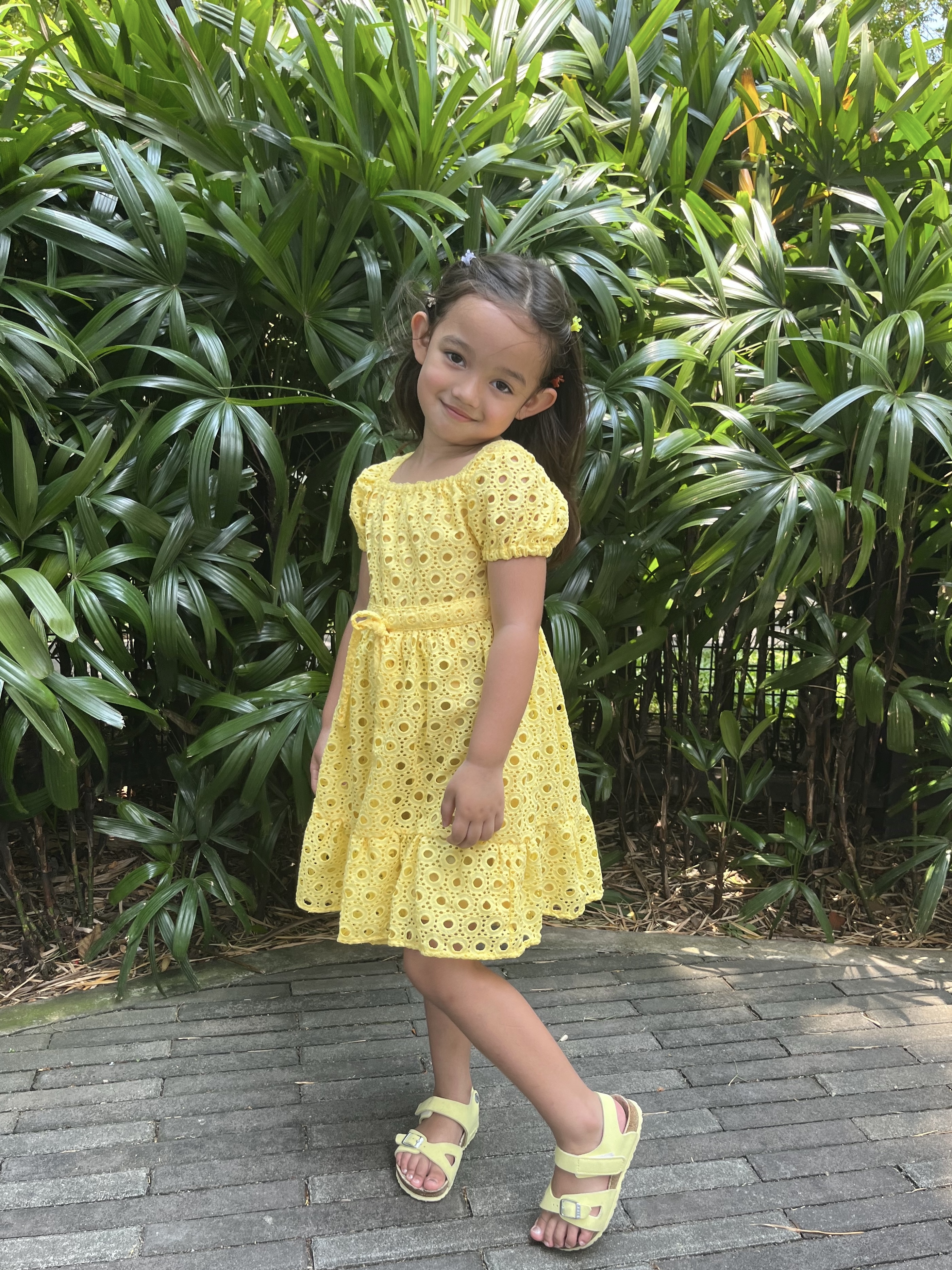 Anika Broderie Anglaise Dress (Special Release)