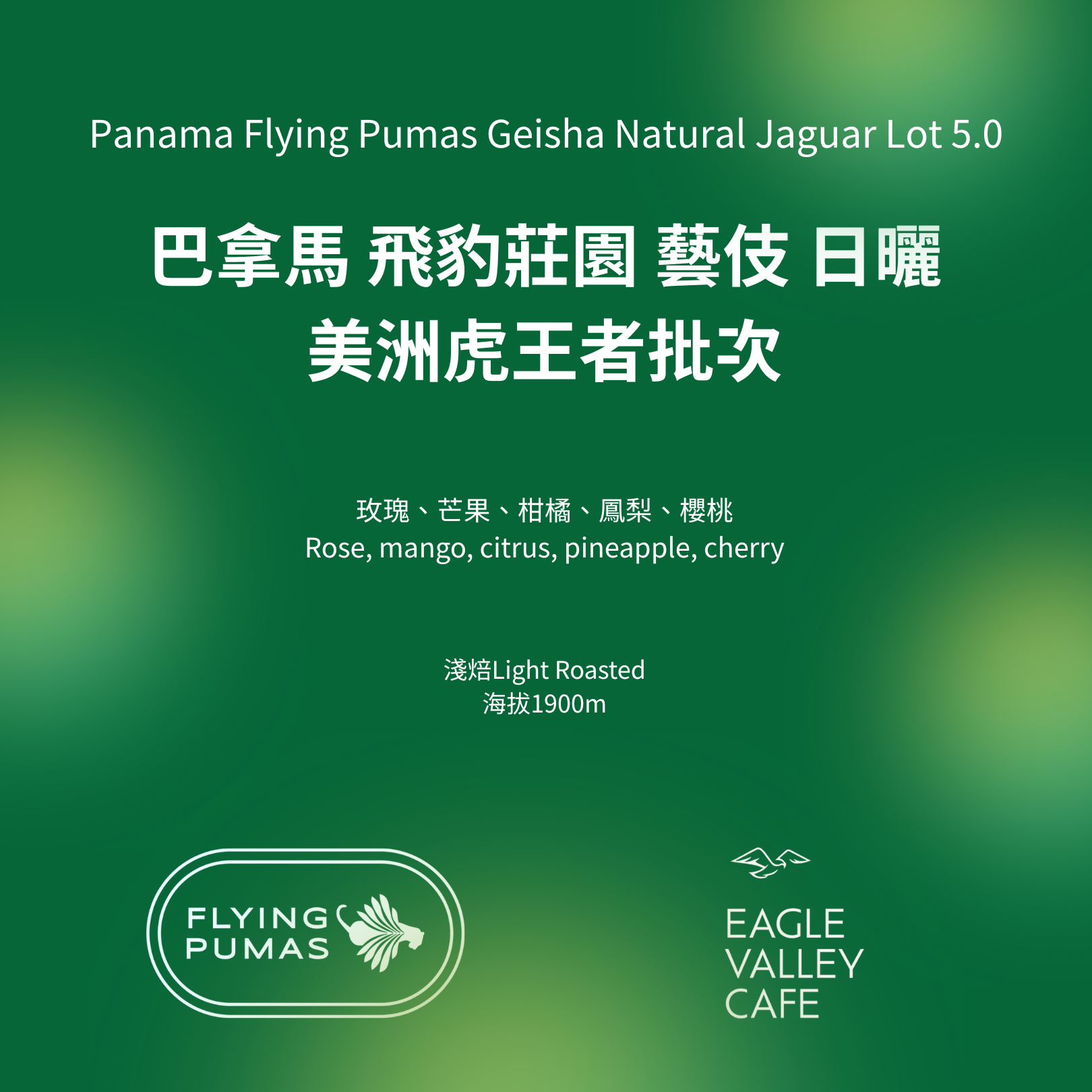 世界頂級莊園 巴拿馬 飛豹莊園 藝伎 日曬 美洲虎王者批次 淺焙 咖啡豆