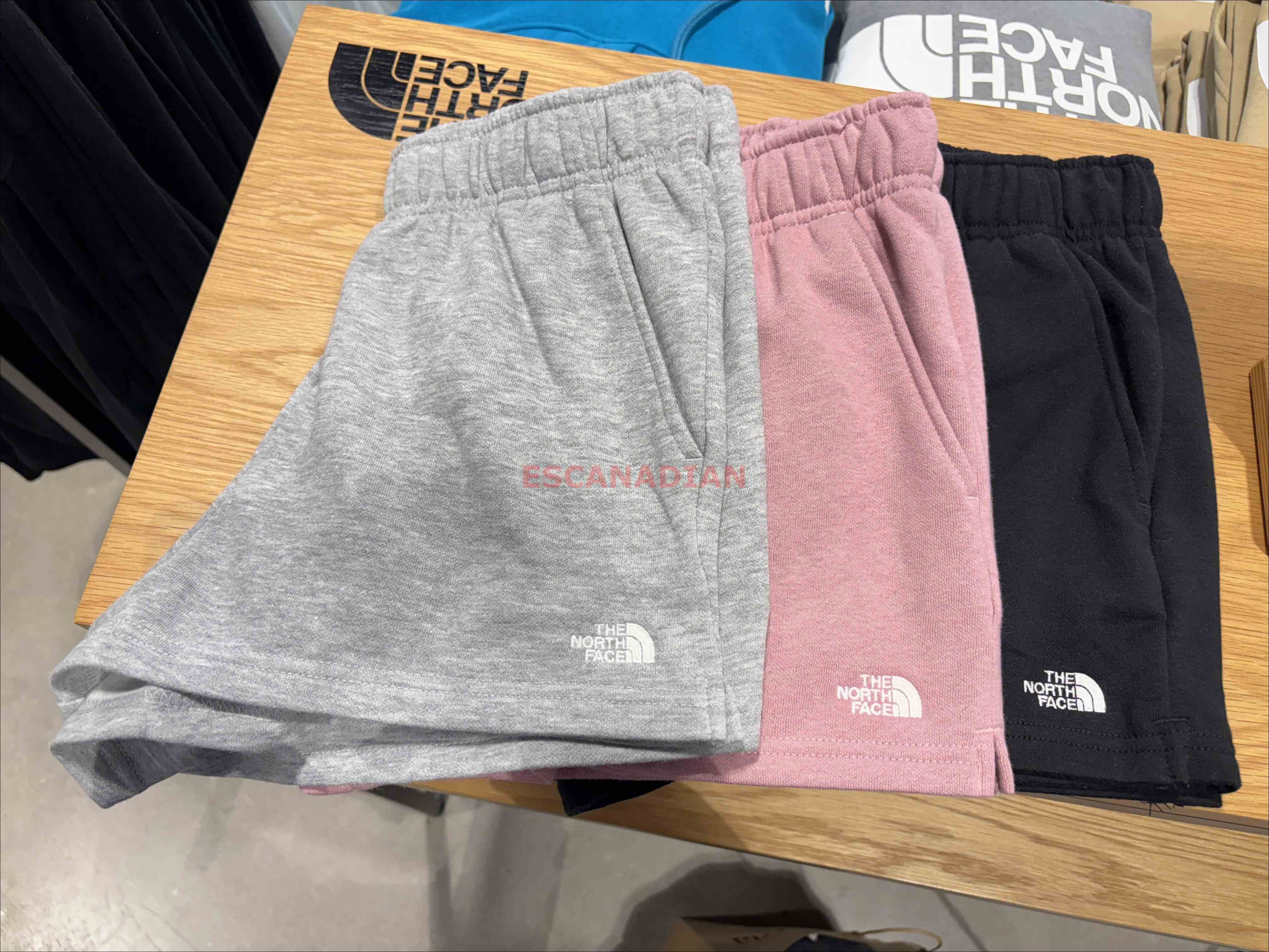 THE NORTH FACE 女大人 經典刺繡小標 棉短褲 (3色)