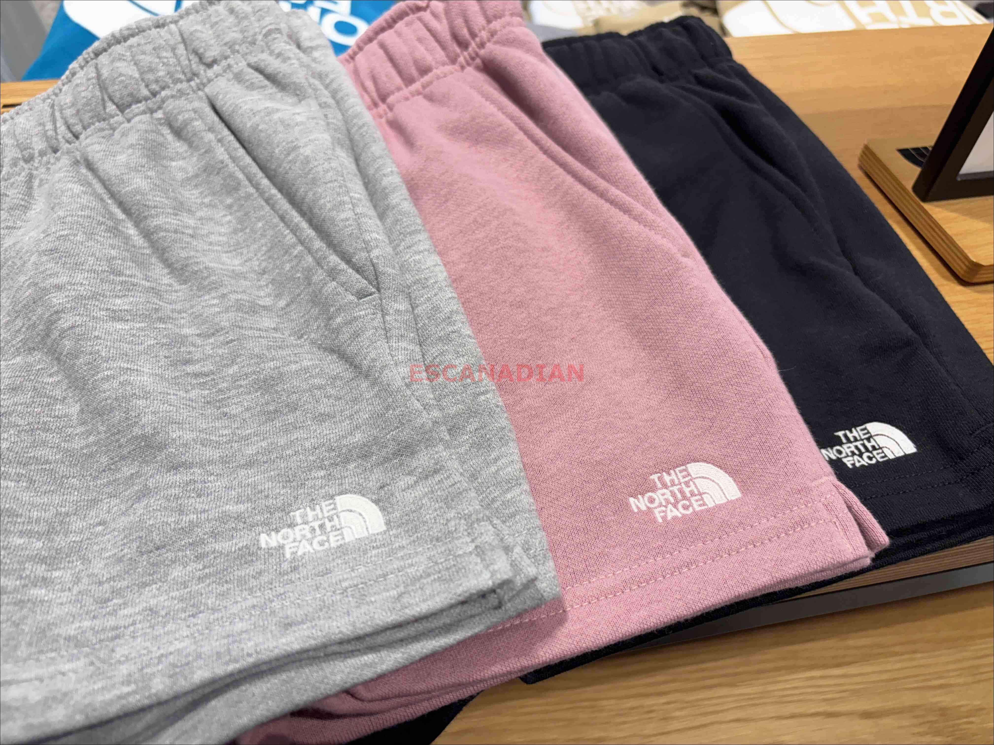 THE NORTH FACE 女大人 經典刺繡小標 棉短褲 (3色)