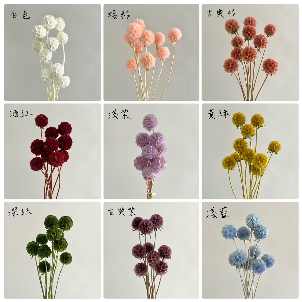 松蟲果單顆款(把)