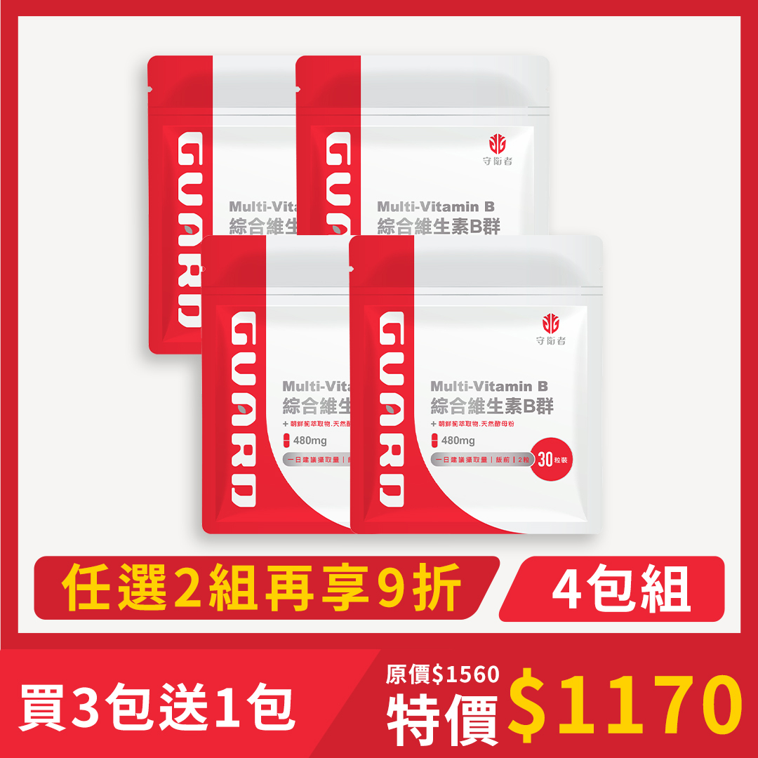 Multi-Vitamin B 綜合維生素B群(480mg/30粒) 4入組