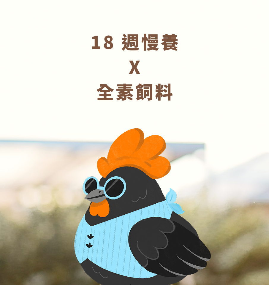 吾在意慢雞熬-18週慢養X全素飼料