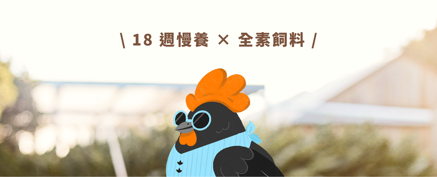 吾在意慢雞熬-18週慢養X全素飼料