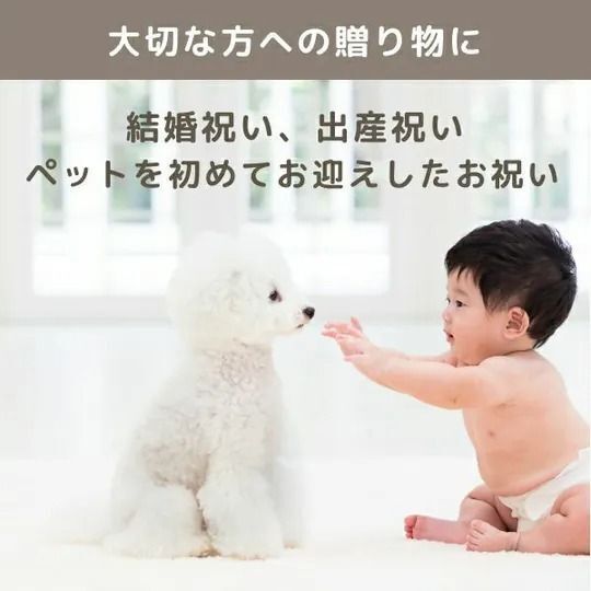 Dretec 寵物食量匙型電子秤 (H6 KA891)