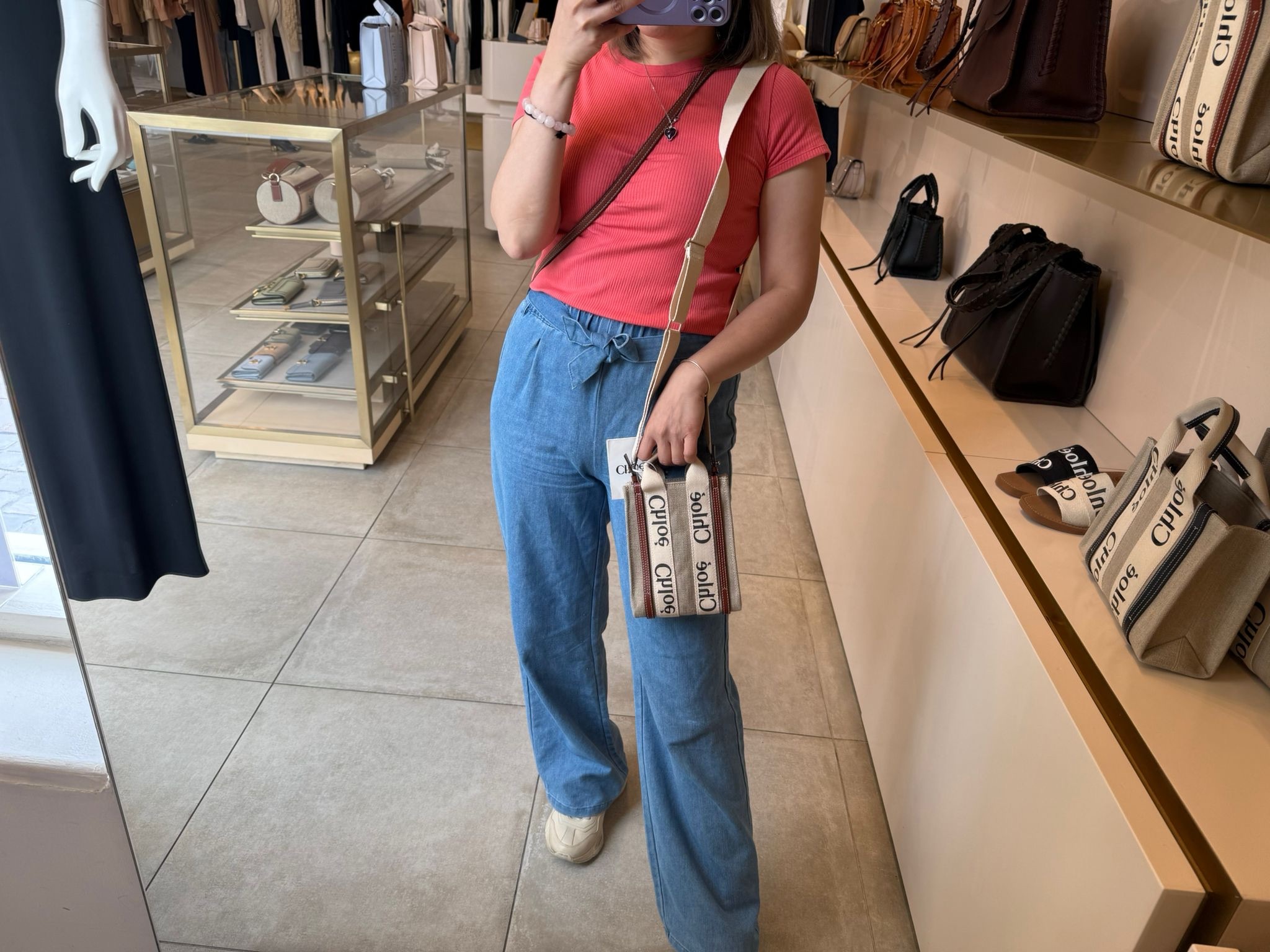 Chloe North Sout Mini Canvas Tote Bag White Brown