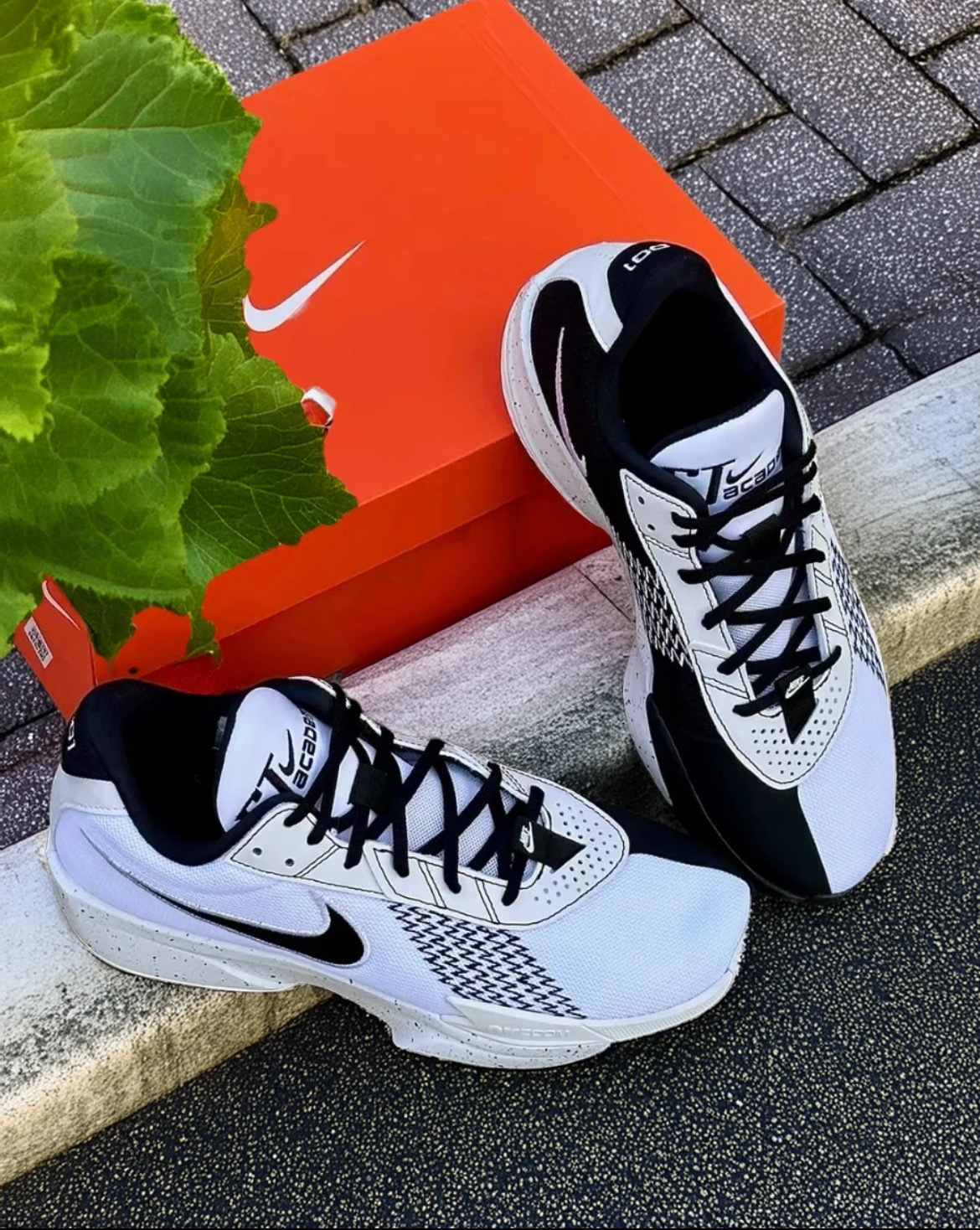 男鞋 NIKE G.T. CUT ACADEMY EP 白黑 緩震 實戰 籃球鞋【FB2598-105】GTCUT