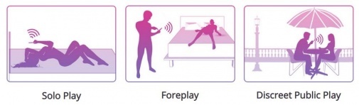 LOVENSE - Ferri Wearable Panty Vibrator